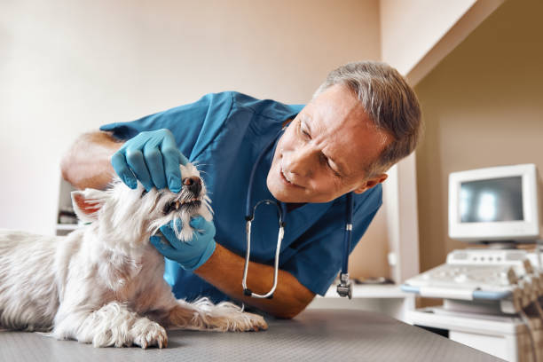 Best Walk-In Emergency Dental Services in Germantown, TN